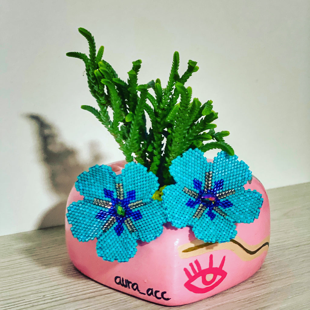 Hibisco