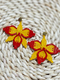 Cattleya